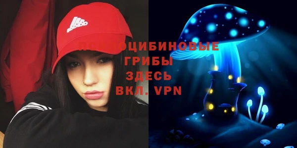спайс Белокуриха