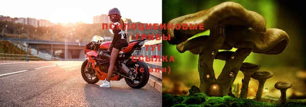 спайс Белокуриха